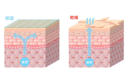乾燥肌の原因